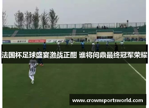 法国杯足球盛宴激战正酣 谁将问鼎最终冠军荣耀